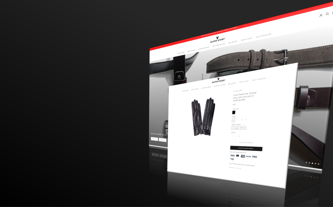 portfolio